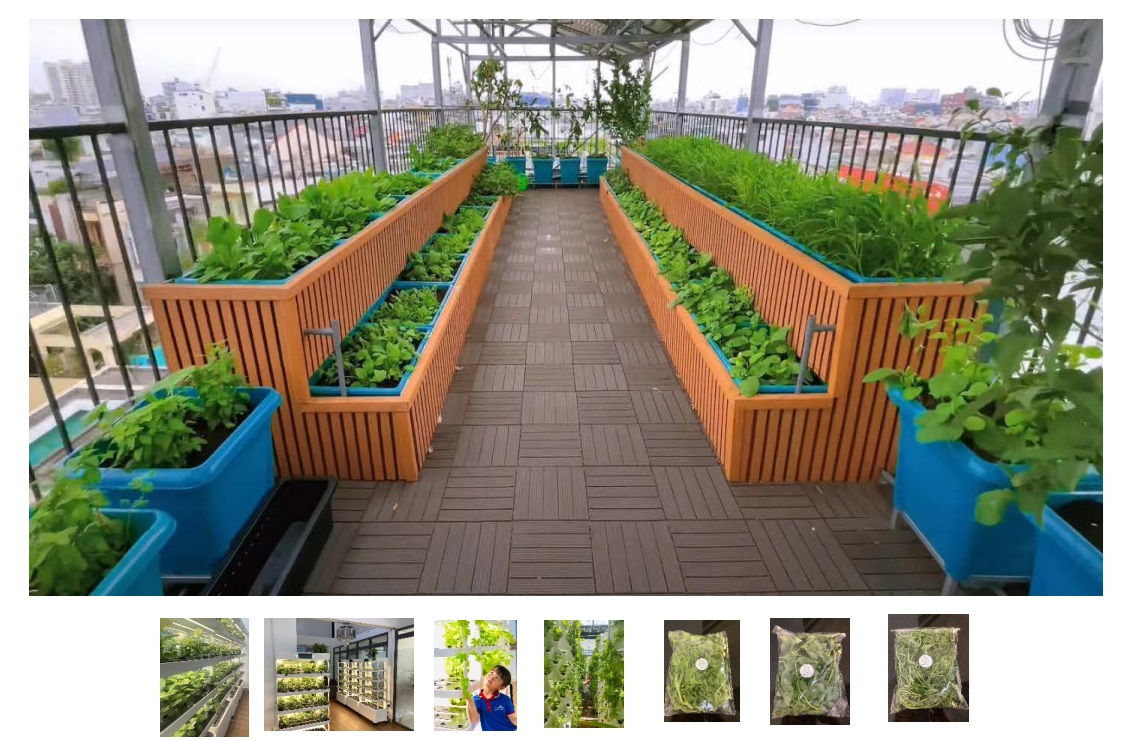 GVRenting Pioneers Affordable Housing with Rooftop Hydroponics in Ho Chi Minh City