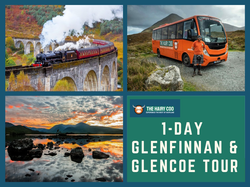 The Hairy Coo Launches New 1-Day Glenfinnan, Glencoe & Scottish Highlands Tour from Edinburgh