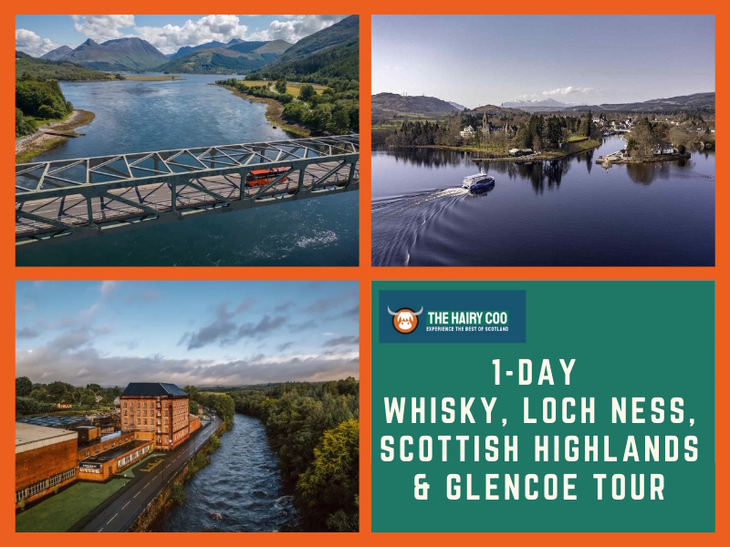 The Hairy Coo Launches New Whisky Distillery and Loch Ness Tour for 2025